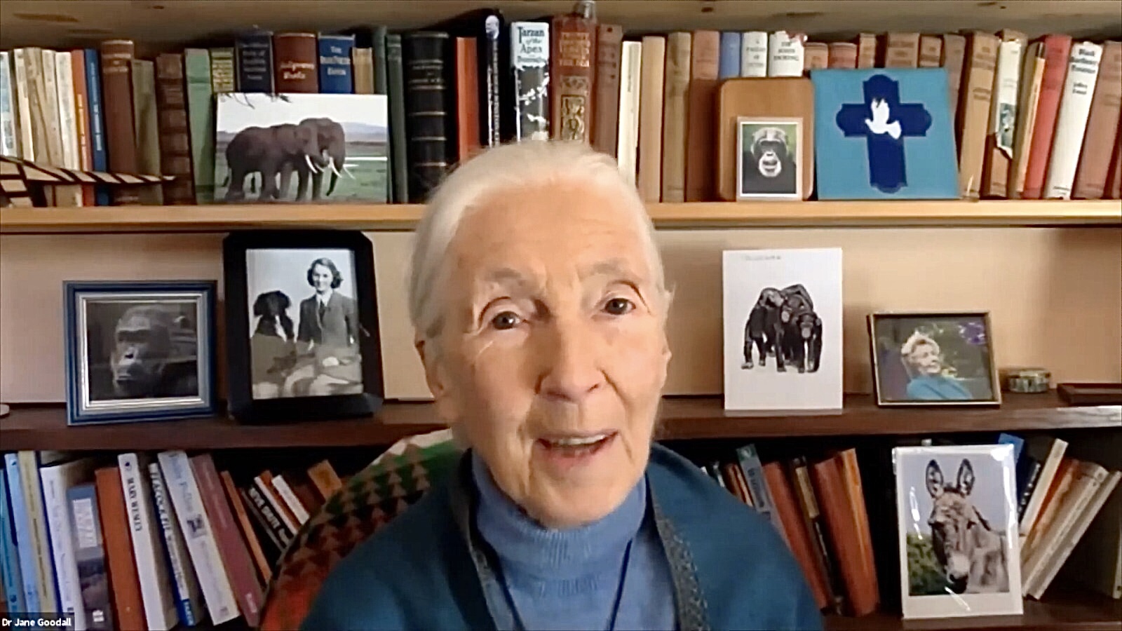 Jane Goodall: If young people lose hope, that’s the end of humanity