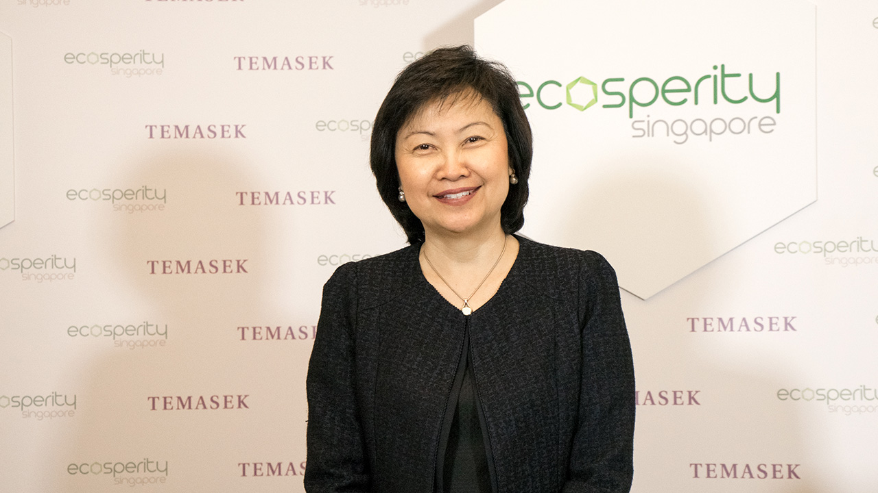 Interview with Dr Cheong Koon Hean, CEO, Housing & Development Board, Singapore