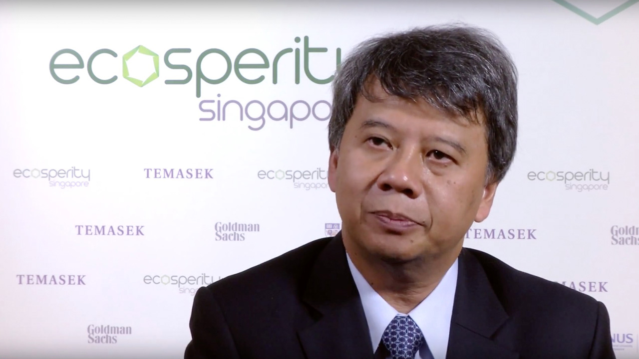Widhyawan Prawiraatmadja, Deputy Chairman for Commercial Control of SKK Migas (Energy)