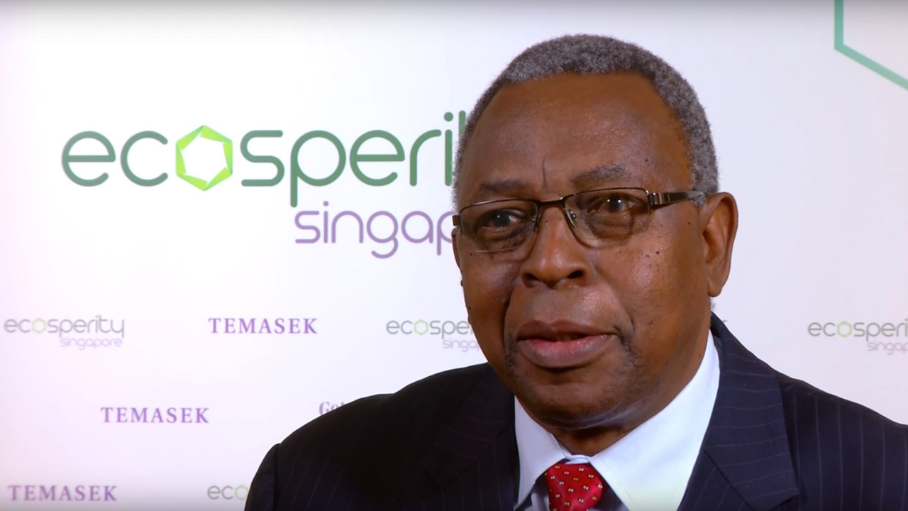 Michael Mwanda, Chairman of Tanzania Petroleum Development Corporation (Energy)