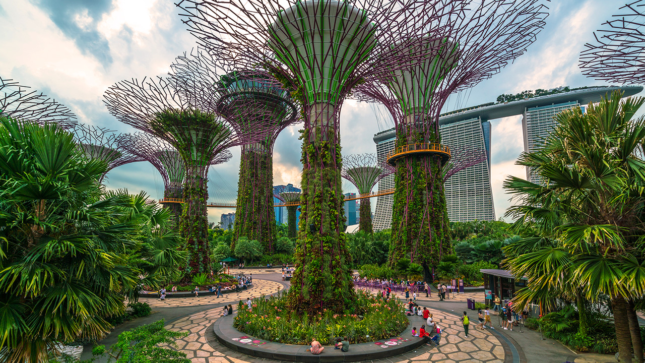 Better Together: Business, Government, Society and Our Sustainable Future