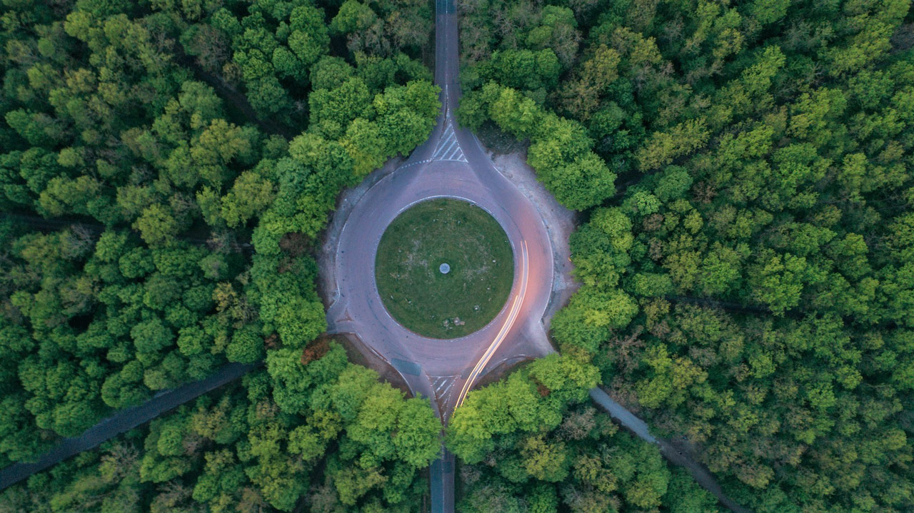 When Tech Meets Nature: Leveraging Technology to Accelerate Nature-based Solutions