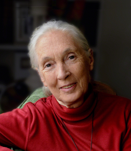Dr Jane Goodall, DBE
