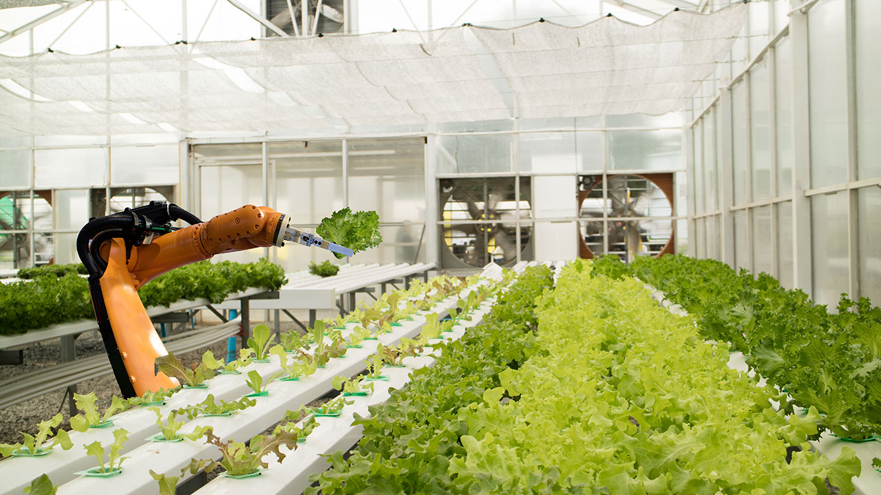 What does Singapore's '30 by 30' food security goal mean for businesses?