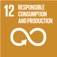 Responsible Consumption and Production