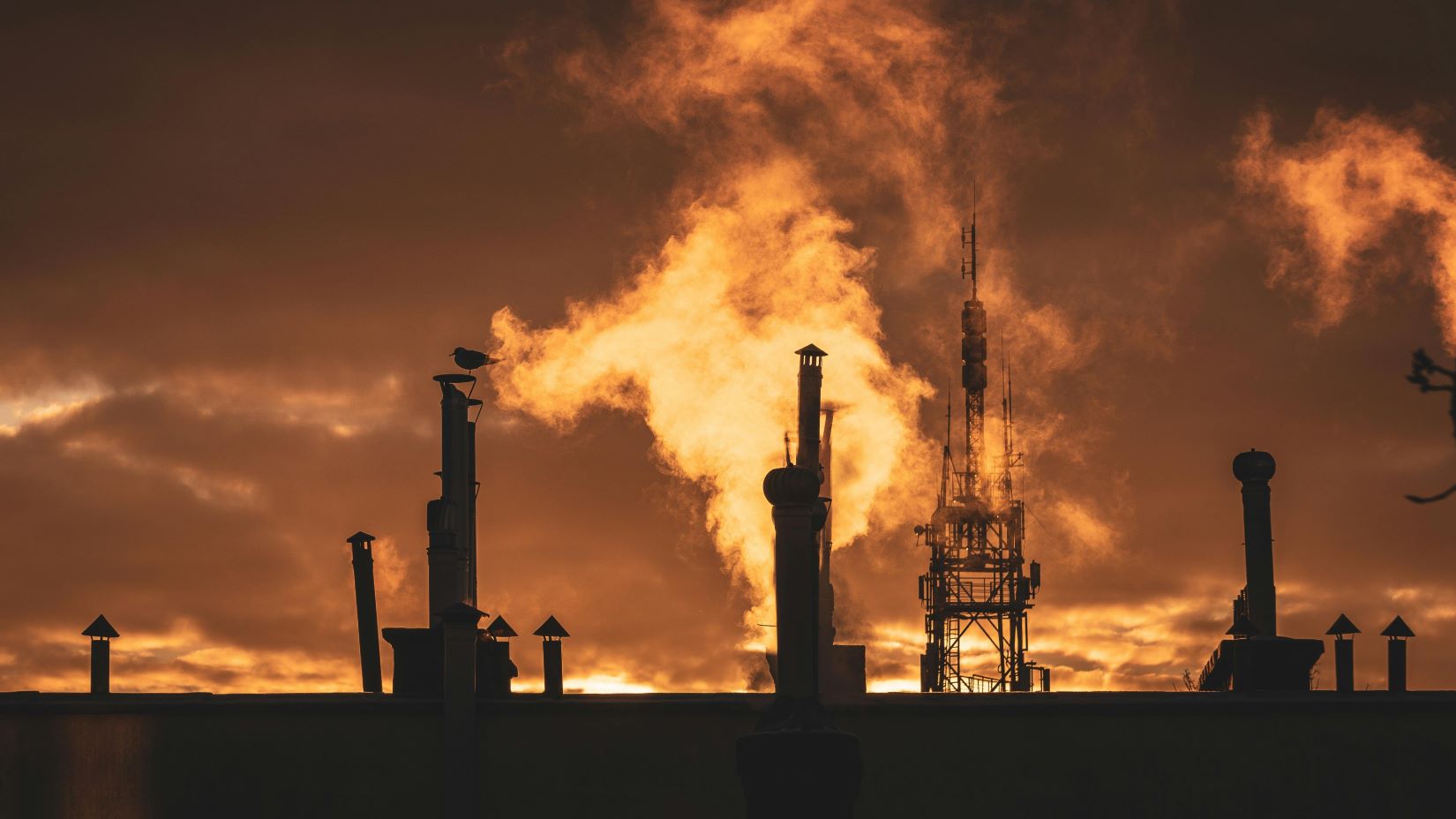 Freedom from Fossil without Pulling the Plug: Asia’s Decarbonisation Pathways