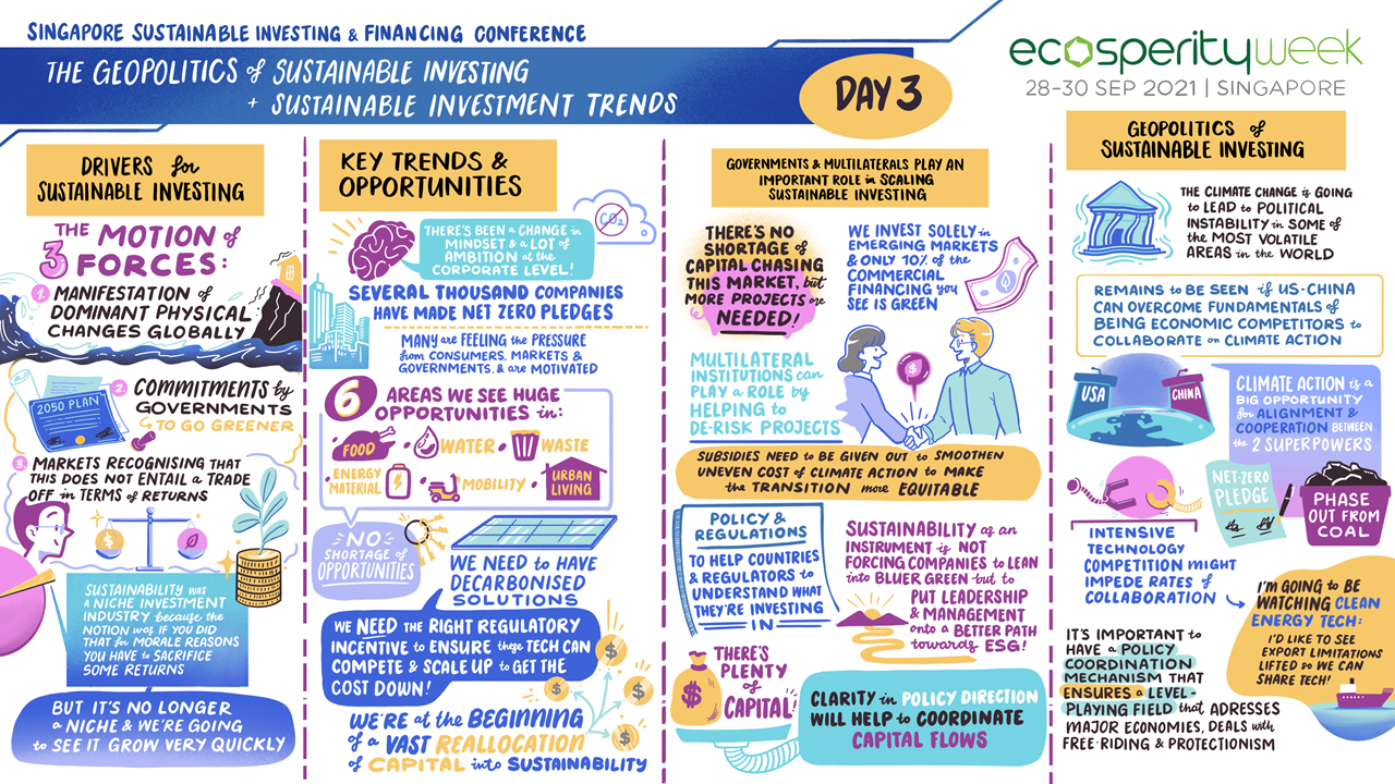 Drivers, trends and the geopolitics of sustainable investing