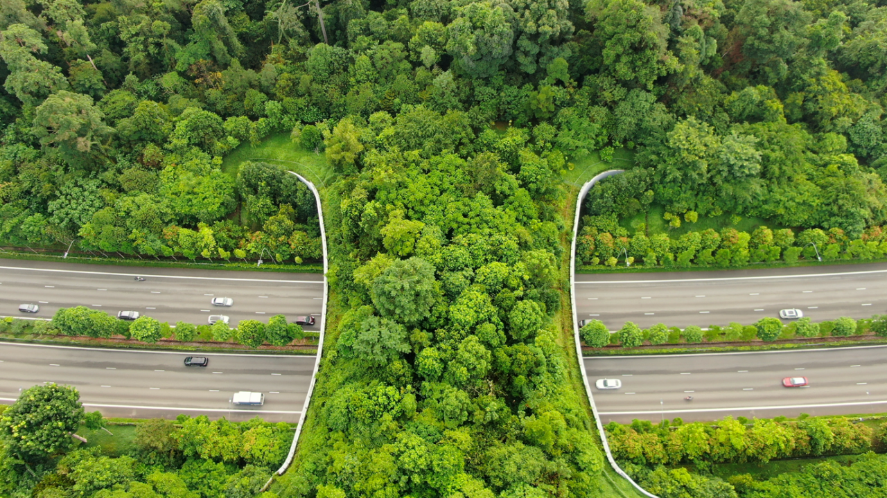 New Nature Economy: Asia's Next Wave