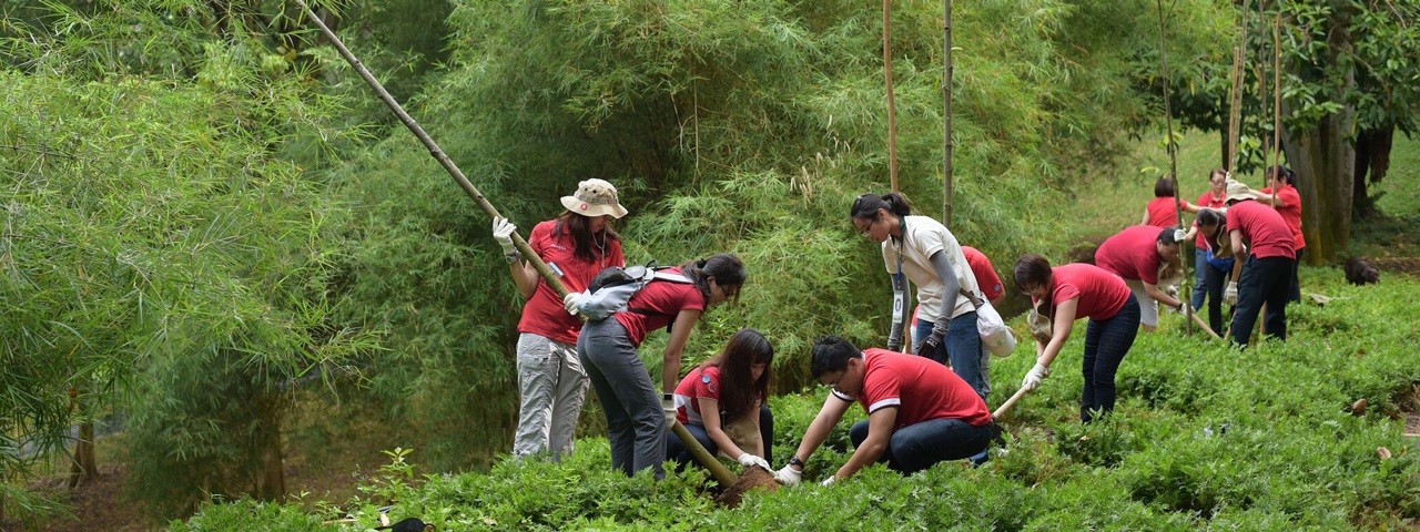 Temasek